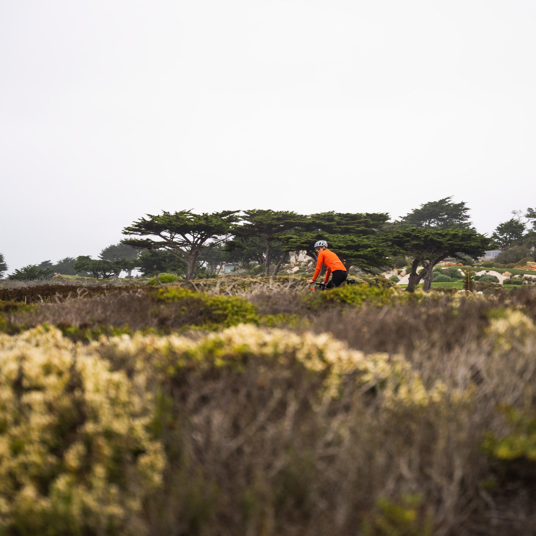 cyclist in the background wearing bright jacket